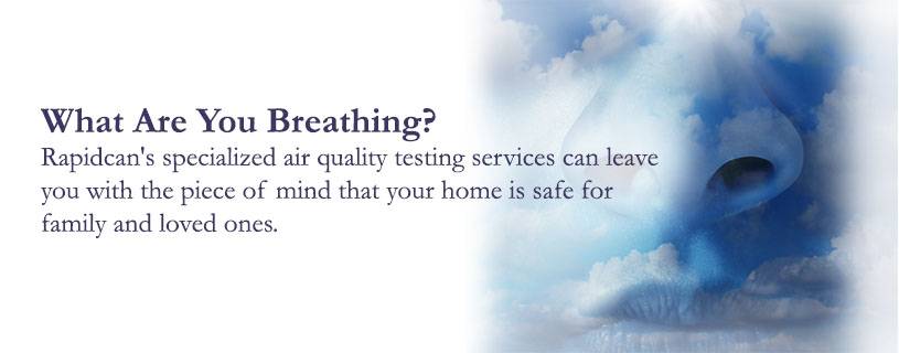 Banner with text "what are you breathing?" and a description of Rapidcan's air quality services, set against a sky-themed background featuring a large, translucent nose. Now also offering water damage