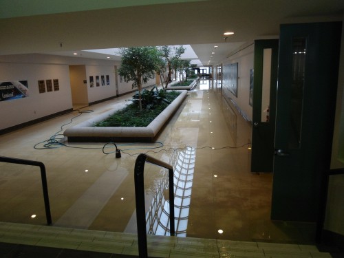 Interior of a building featuring a polished floor corridor with a central garden bed, surrounded by office doors, and subtle lighting. A water hose lies across the corridor floor, suggesting water damage restoration work.